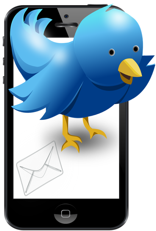 Twitter 1443386855-724x1024 (724x1024), Png Download