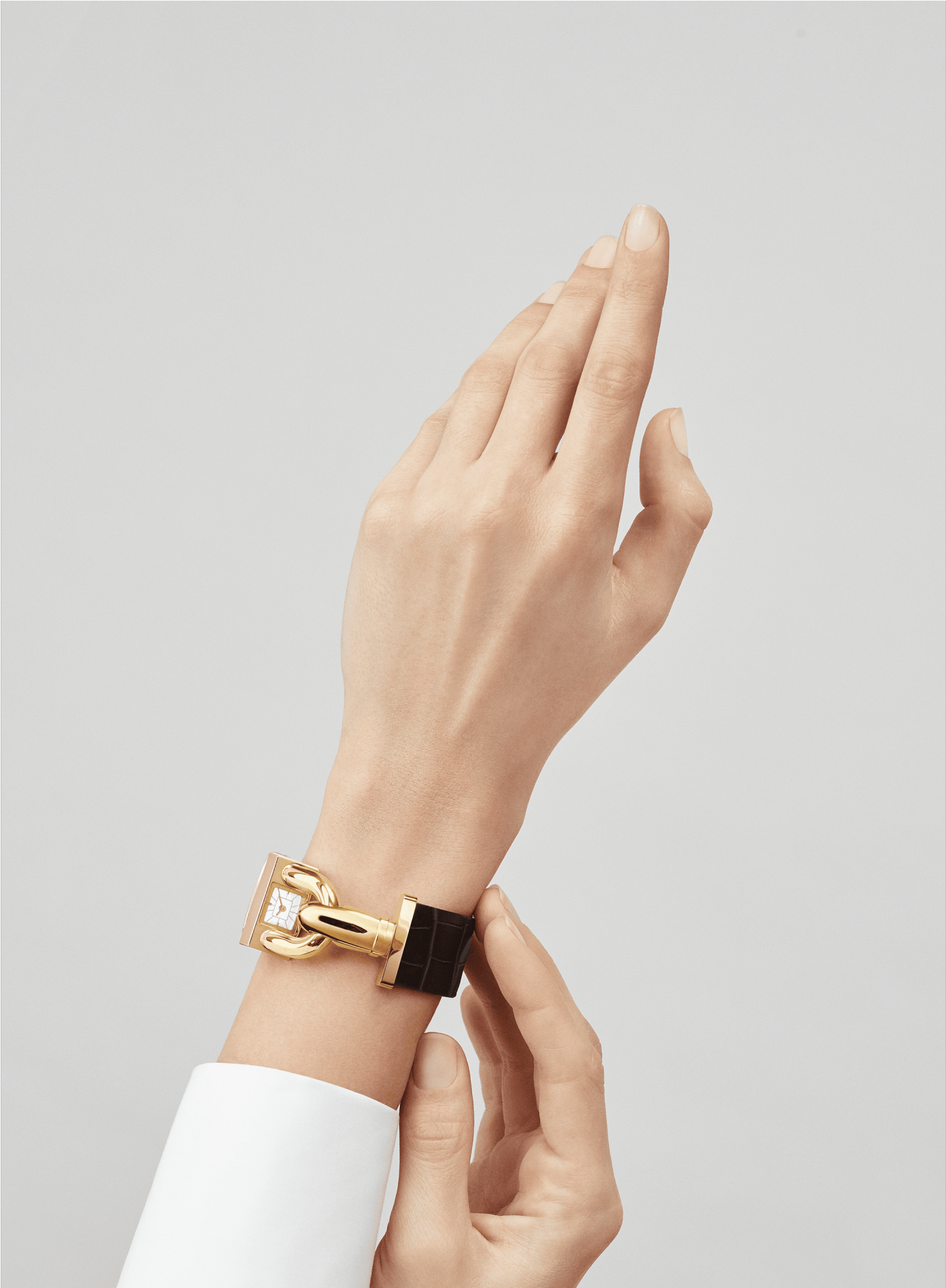 Cadenas Watch,satin Finish Alligator, Square Scale (2000x2000), Png Download