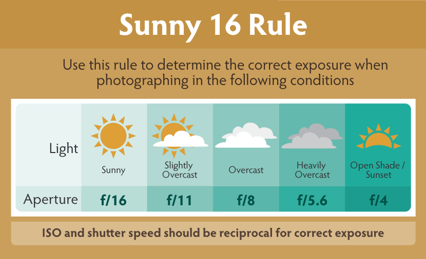 Sunny (830x506), Png Download
