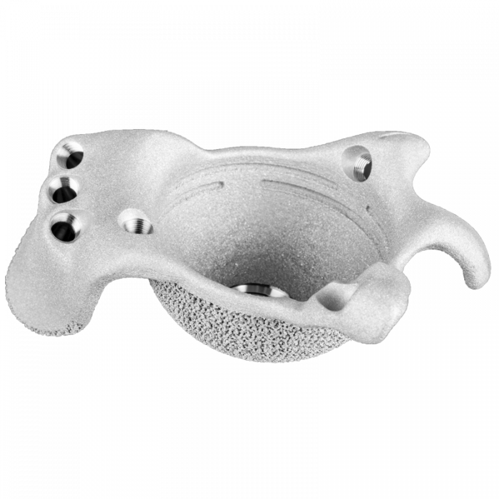 Ossis (700x700), Png Download