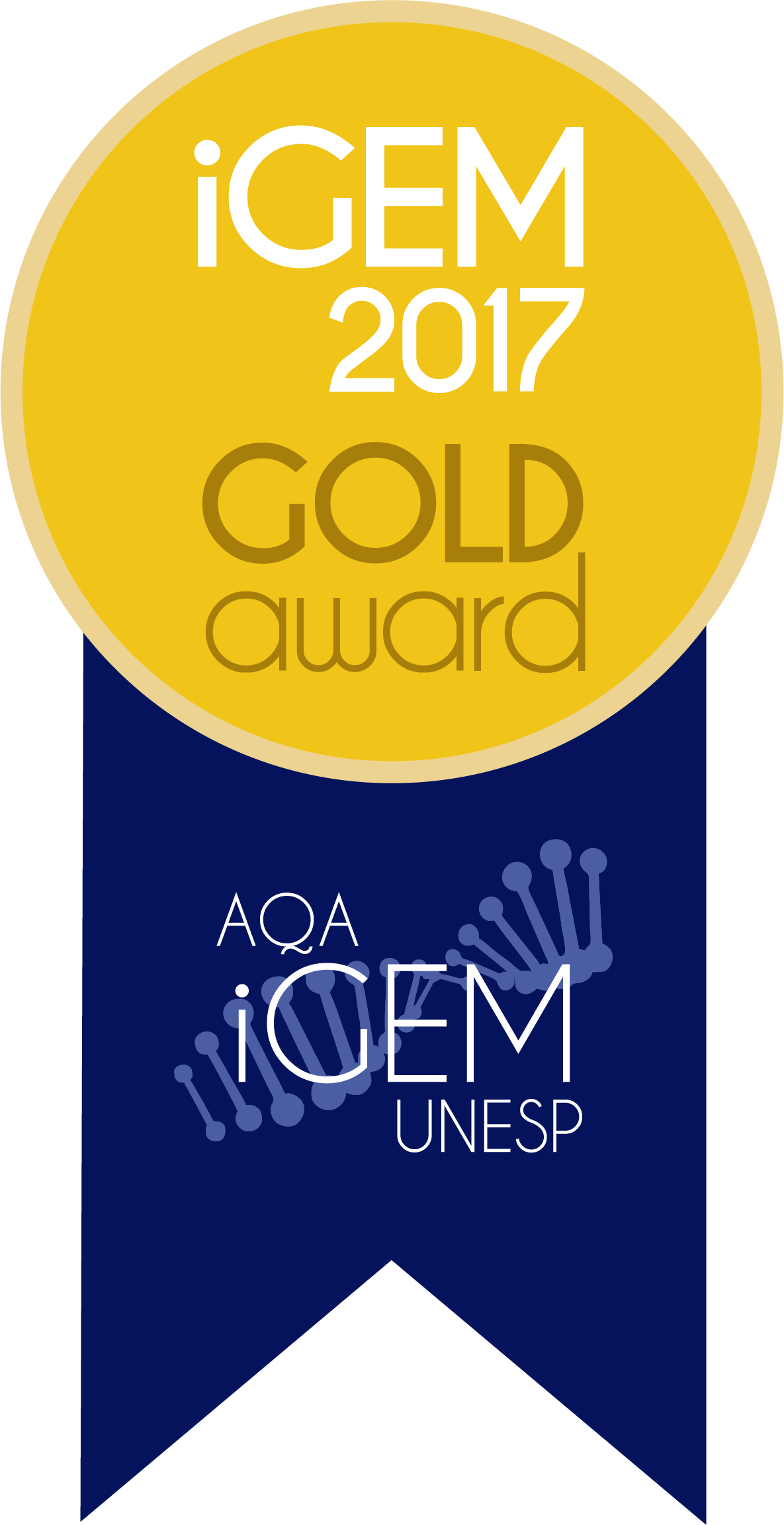 2017 Gold Png (1185x2305), Png Download