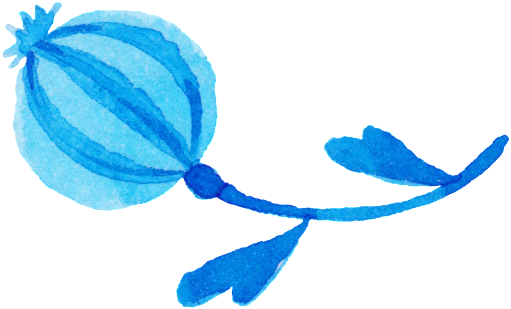 Amapola Ornamental Pinceles Pintura Png (1024x620), Png Download