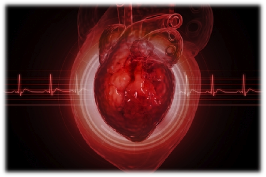 Brosschot, Jos F (886x591), Png Download