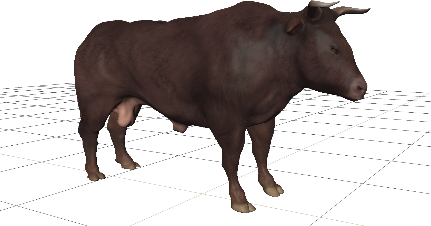 Bull Cattle Bison Horn Hairy Men Transprent (1680x959), Png Download