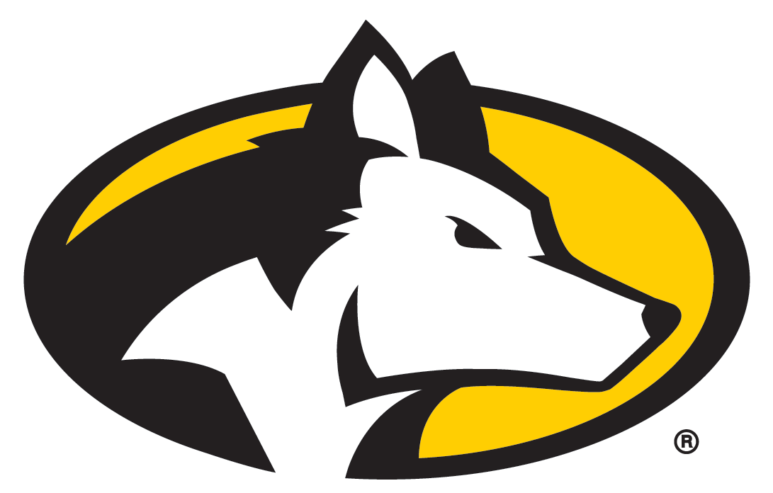 Michigan Tech Huskies (1132x710), Png Download