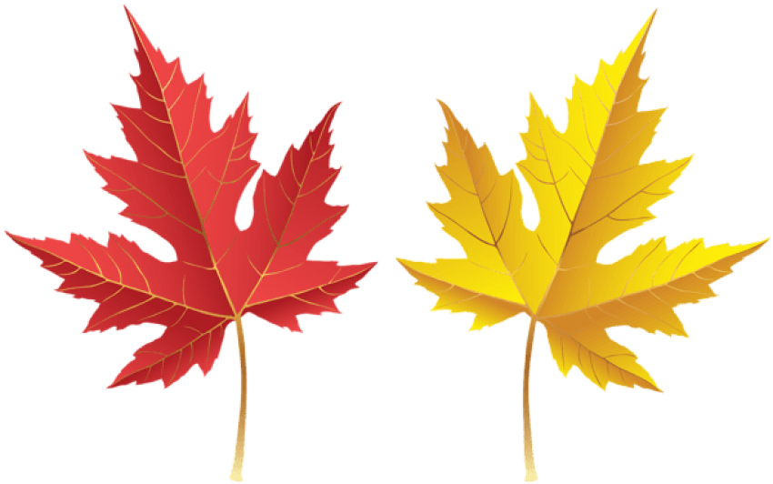 Free Png Fall Leves Png Images Transparent (850x532), Png Download