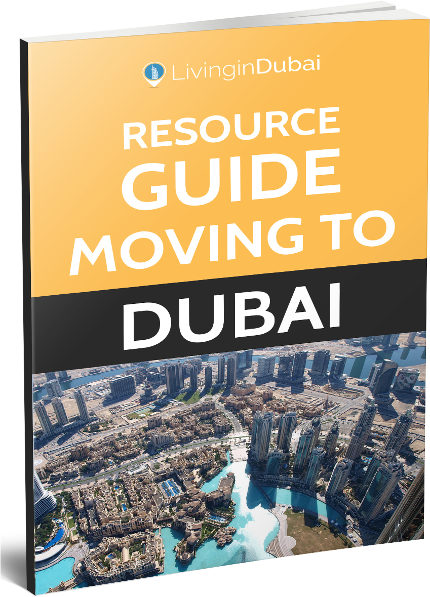 The 35 Tools & Resources 13,000 Expats Have Used To (869x1216), Png Download