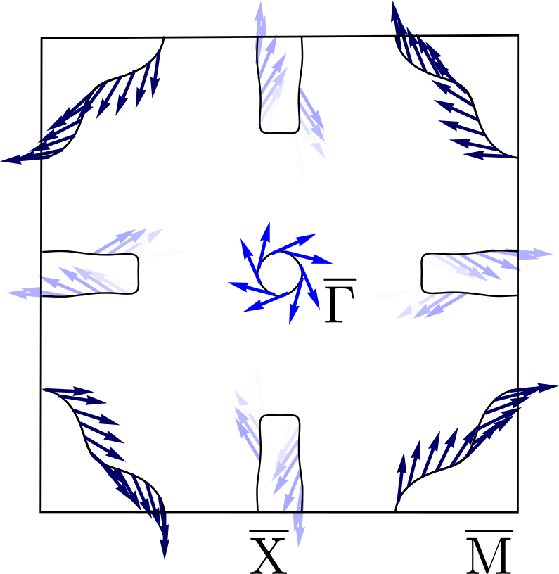 Calculated Fermi Surface And Spin Texture Of Bi (795x816), Png Download