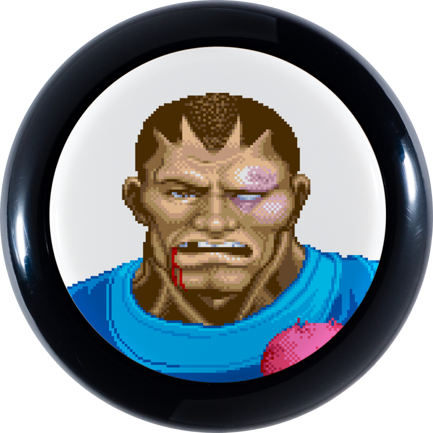 Super Street Fighter Ii Turbo Defeated Sanwa Denshi (876x876), Png Download