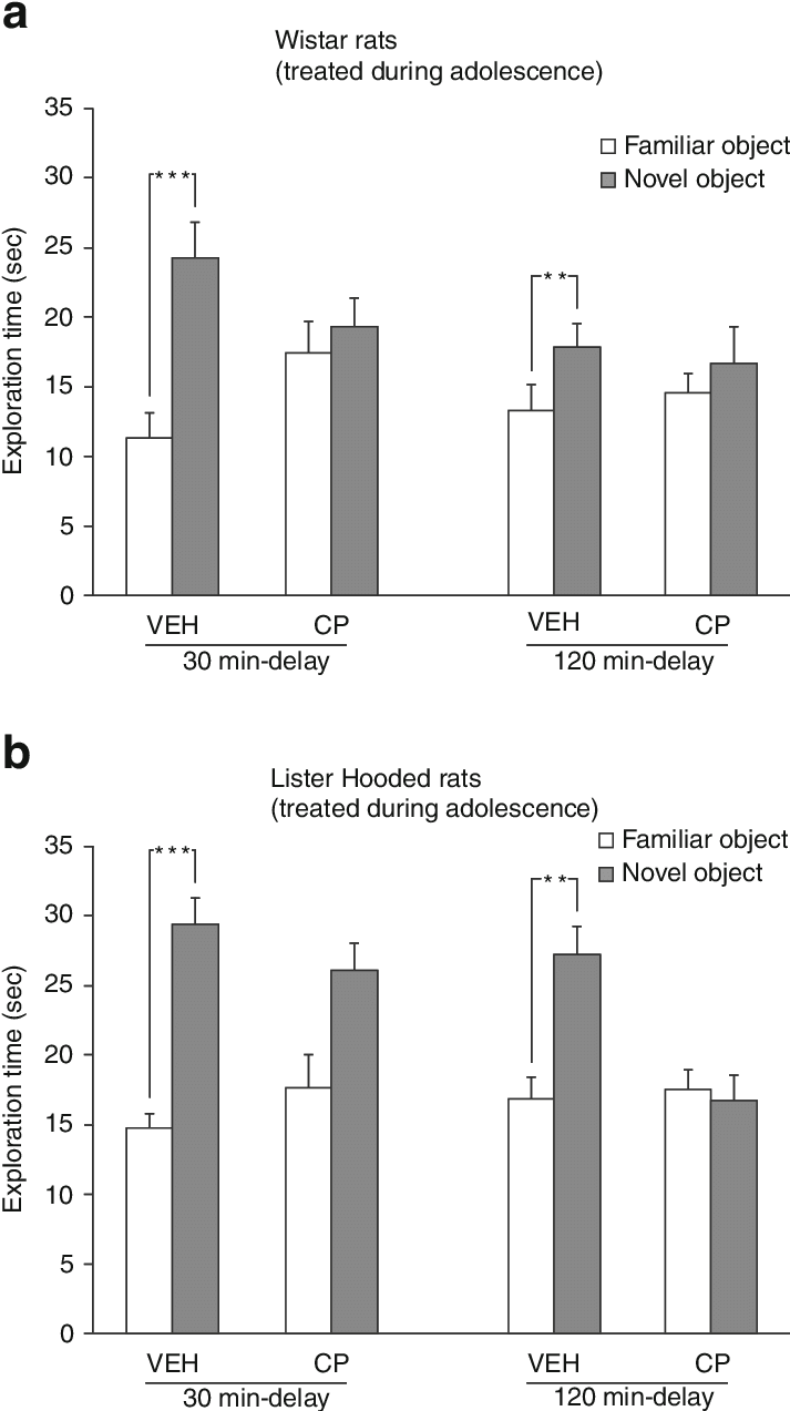 Object Recognition Performance Of A Wistar And B Lister (714x1285), Png Download