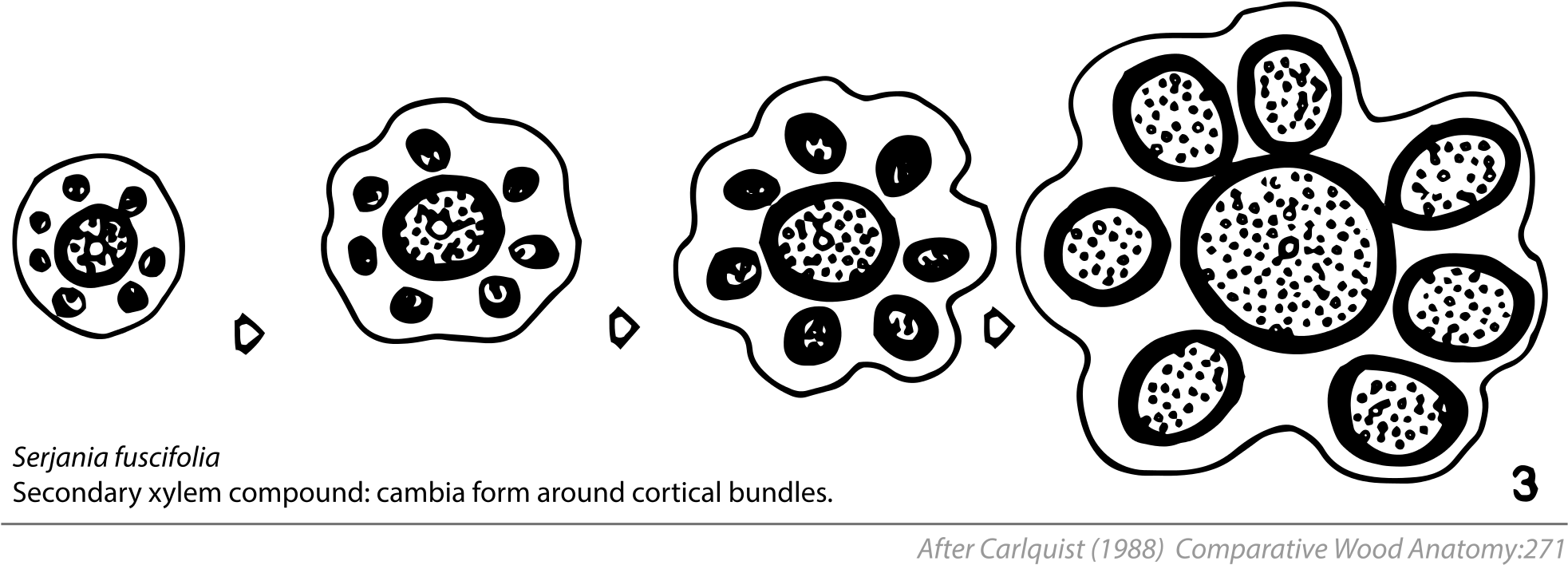 Open (2000x755), Png Download