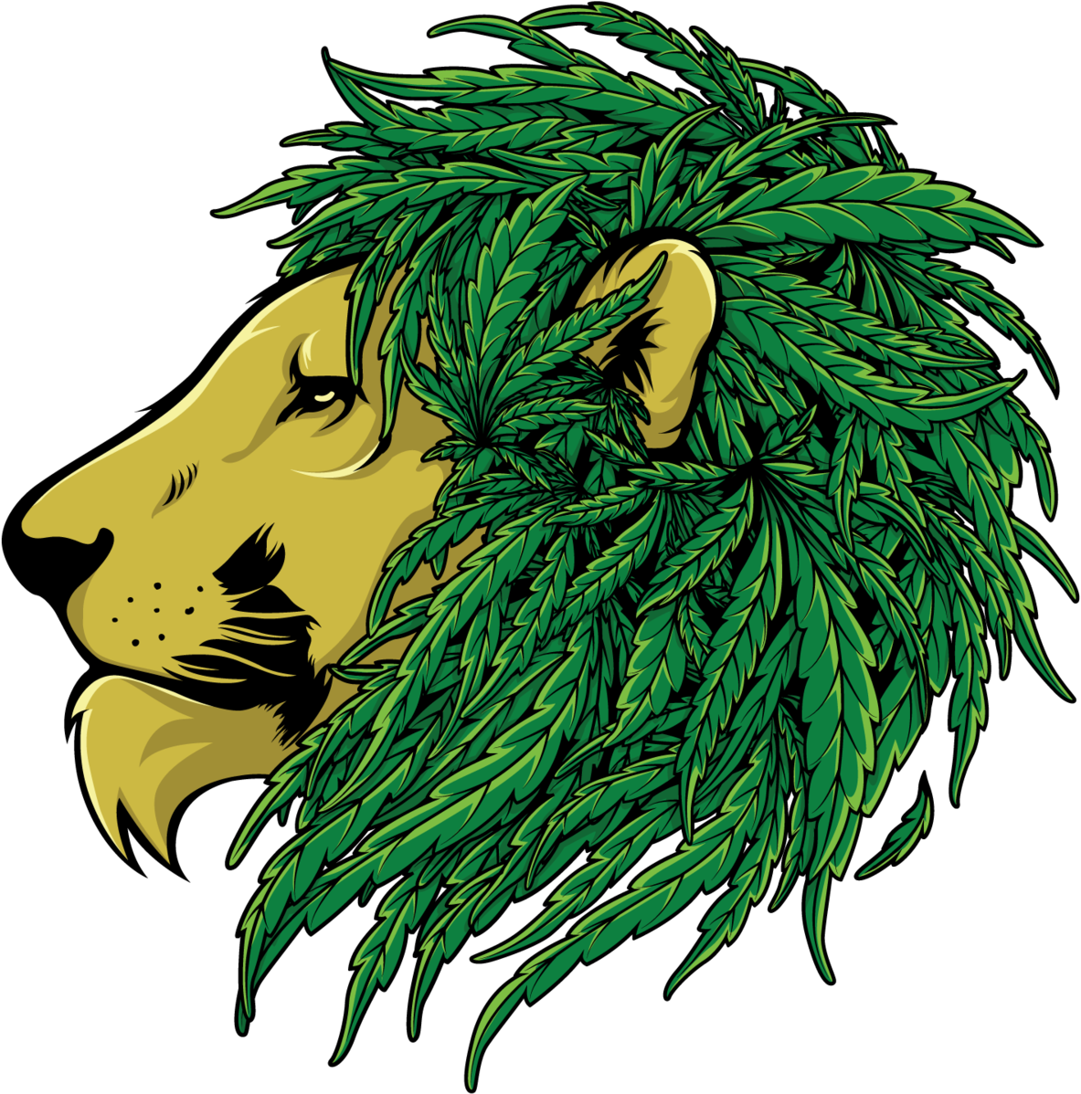 420 Png (2500x1767), Png Download