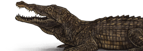 Pjsalt Png (640x500), Png Download
