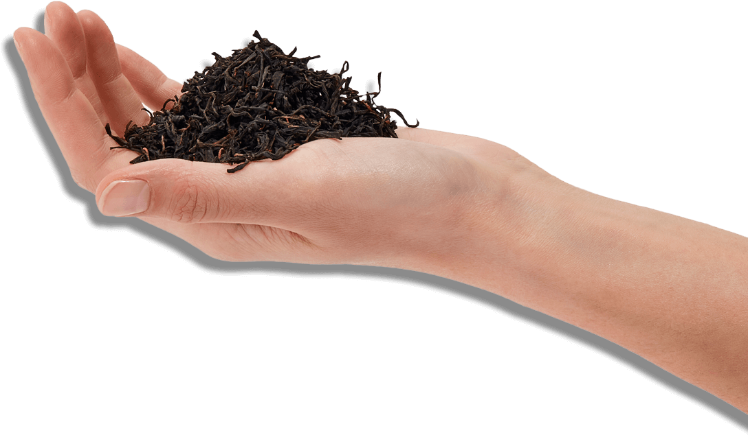 Hand (1092x668), Png Download
