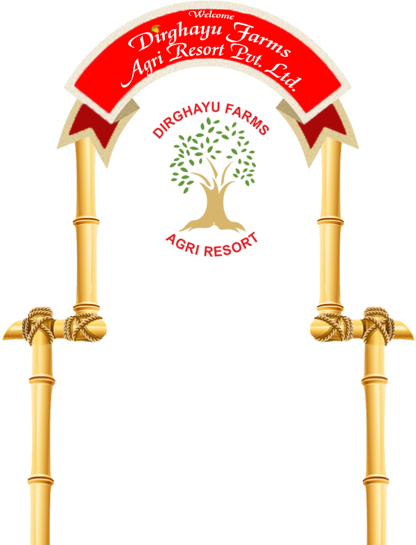 Picnik Png (600x800), Png Download