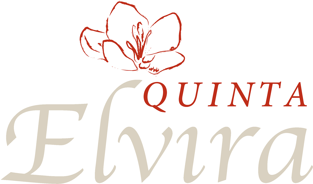 Hotel Boutique Quinta Elvira, Ubicado En Cuernavaca, (1400x846), Png Download