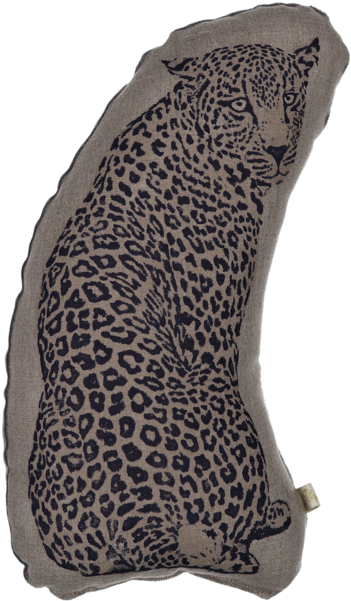 Snow Leopard (600x600), Png Download