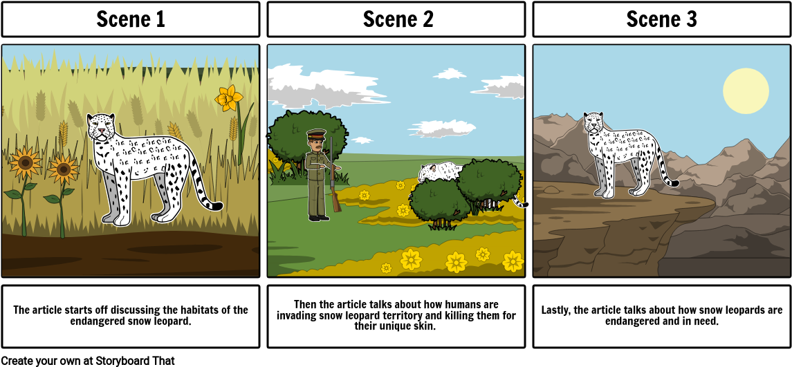 Snow Leopard (1165x550), Png Download