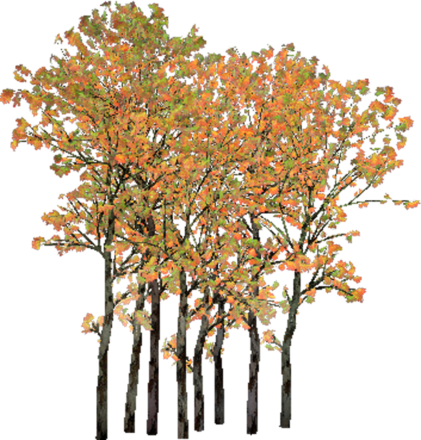 Cluster Png (612x640), Png Download
