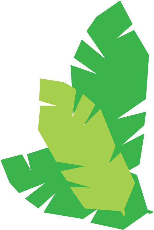 Leaf-cluster (612x792), Png Download