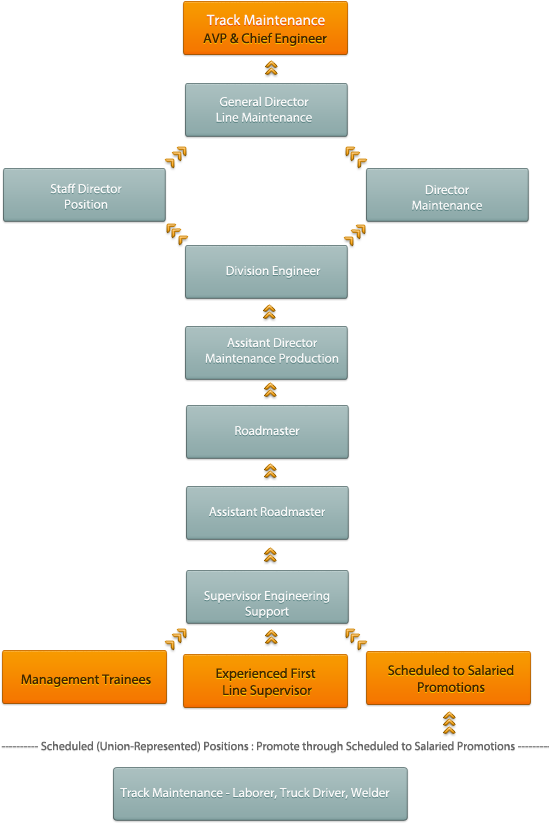 Career Paths (555x850), Png Download