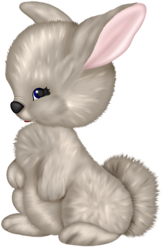 Album (593x800), Png Download