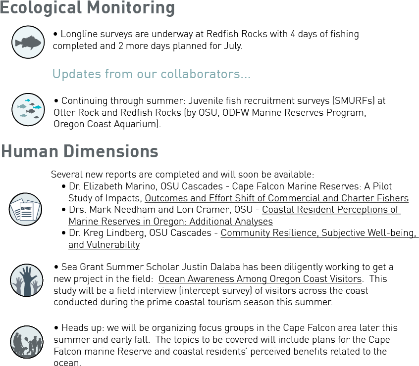 Updates From The Field (919x776), Png Download