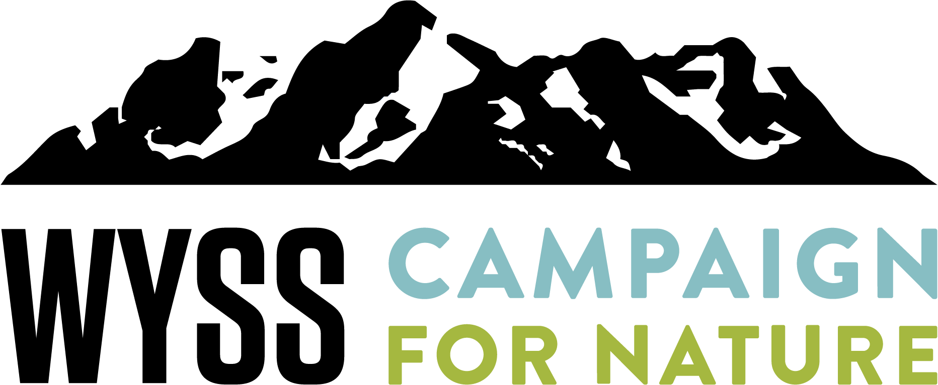31, The Wyss Foundation Launched A $1 Billion Campaign (1864x767), Png Download