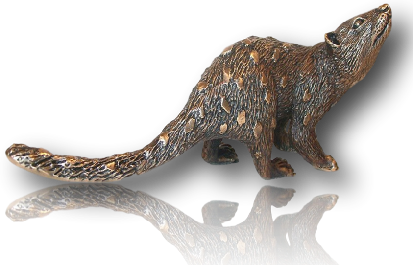 Small Eastern Spotted Quoll (843x542), Png Download
