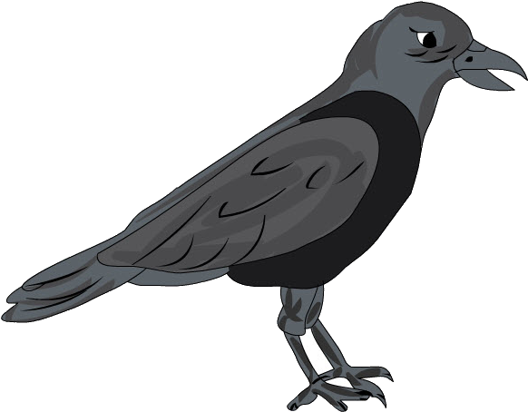Cuervo (628x507), Png Download