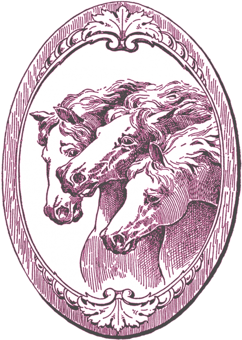 Vintage Elements Png (500x707), Png Download