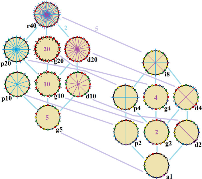 Symmetries Of A Regular Icosagon (720x646), Png Download