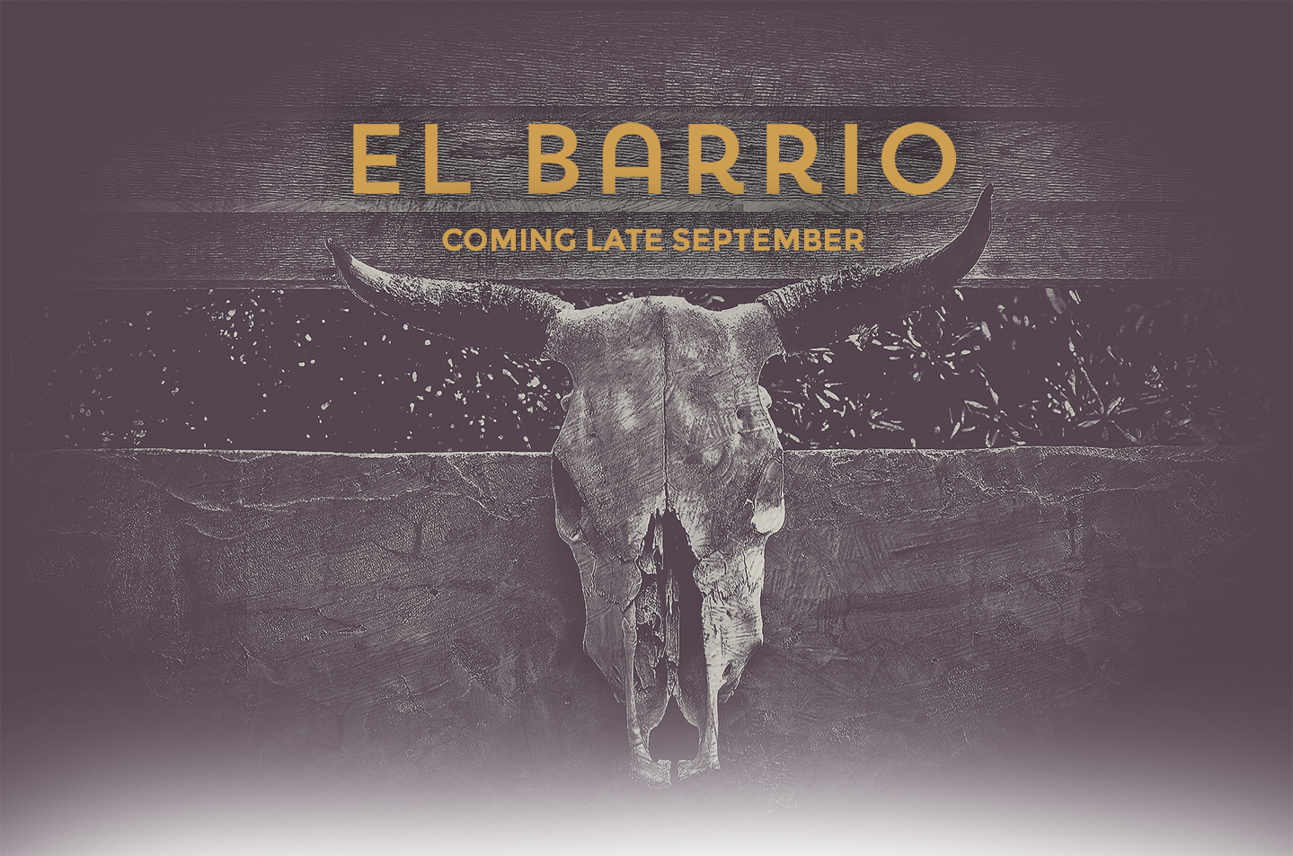 El Barrio Mexican Modern Cocktail Bar Will Open In (1439x953), Png Download