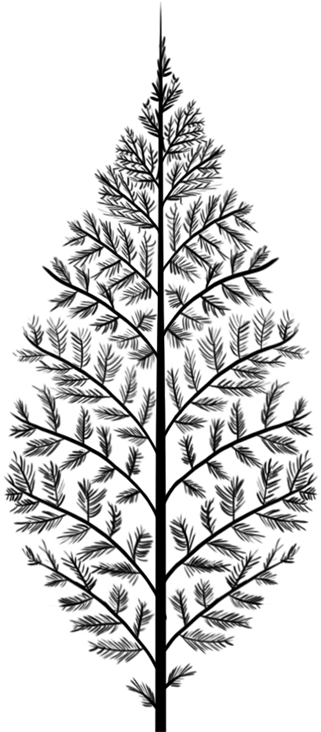 Feather (400x800), Png Download