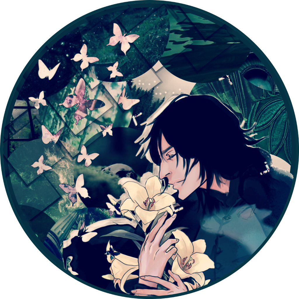 Severussnape Icon Overlay Slytherin Harrypotter Hp (1024x1024), Png Download