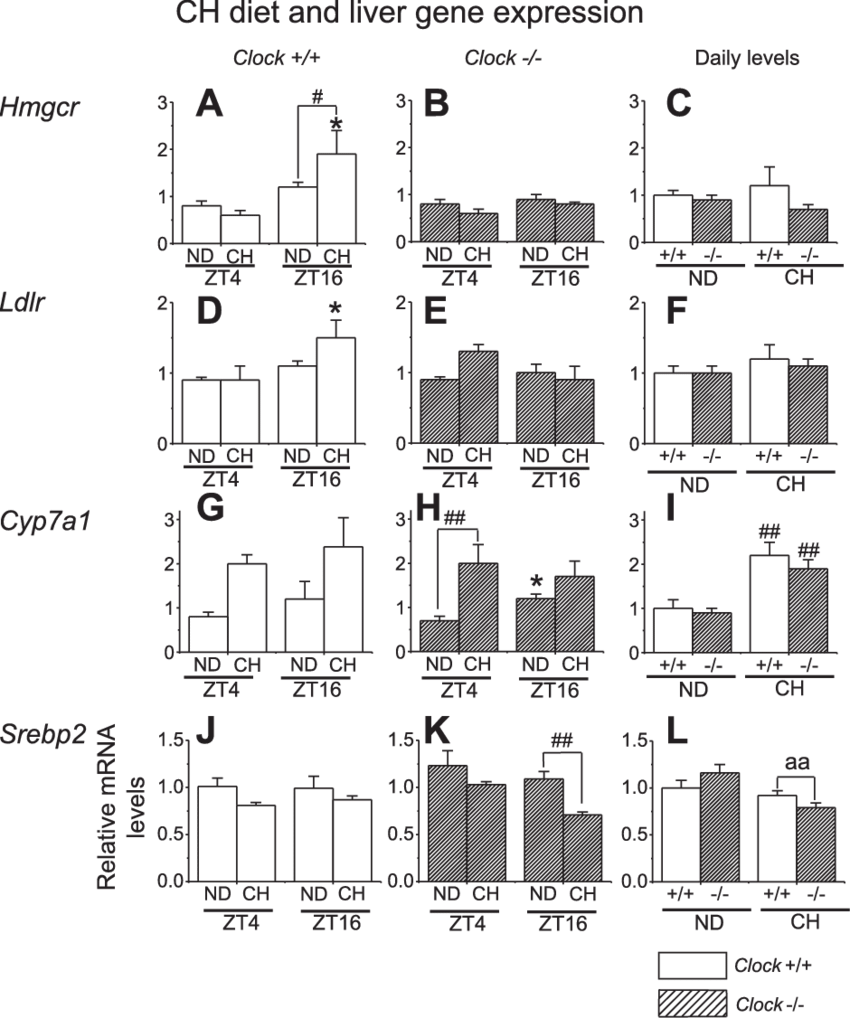 Effect Of A Ch Diet On Liver Gene Expression (850x1018), Png Download