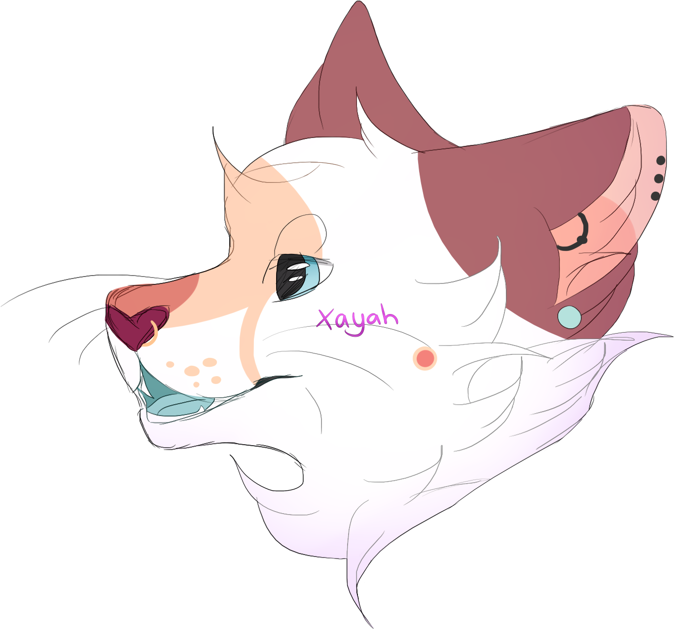 Details (1534x1462), Png Download