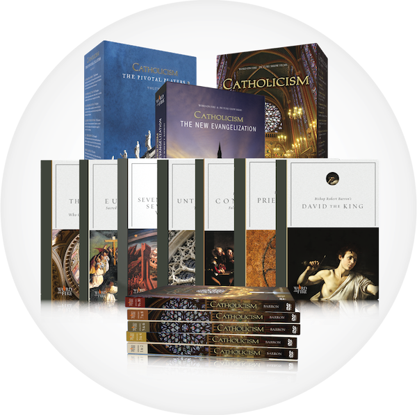 Get The Complete Bishop Barron Dvd Collection For Your (600x598), Png Download