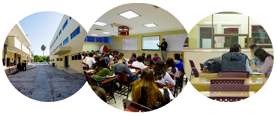 Contador Público (924x388), Png Download