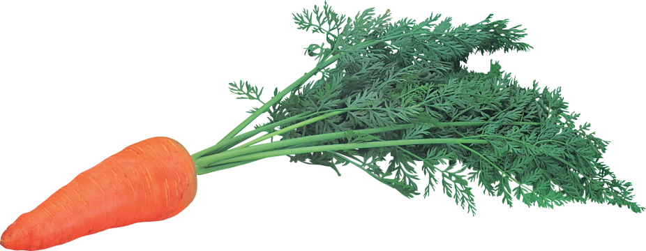 Carrots Carrot (926x360), Png Download