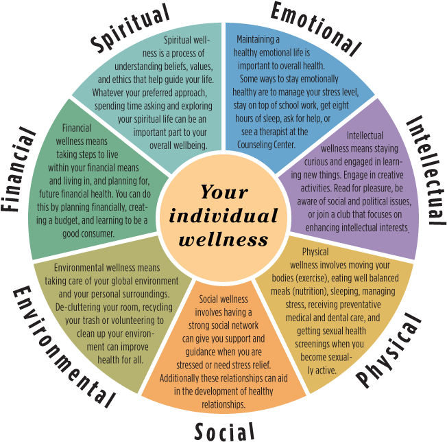 Wellness Wheel (700x700), Png Download
