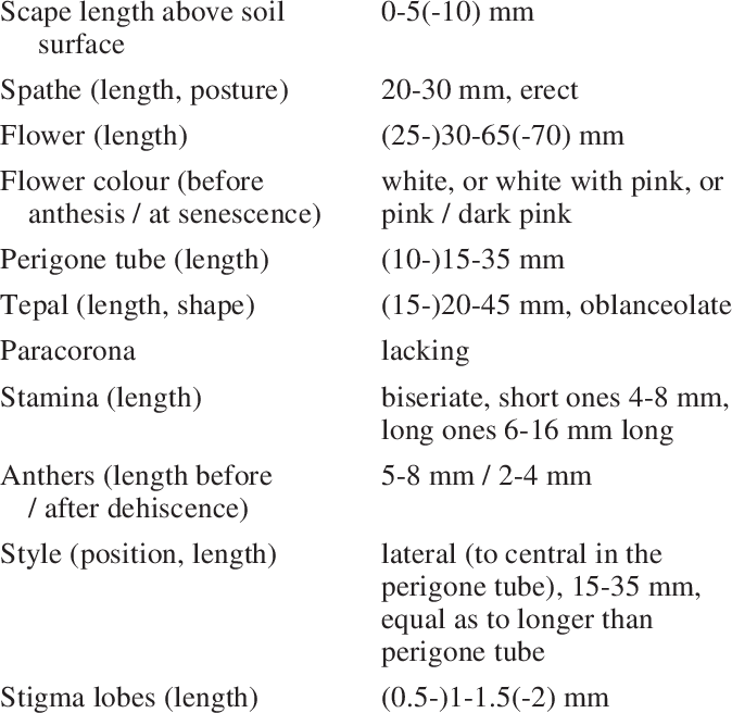 Variation Of Morphological Characters In Zephyranthes (674x656), Png Download