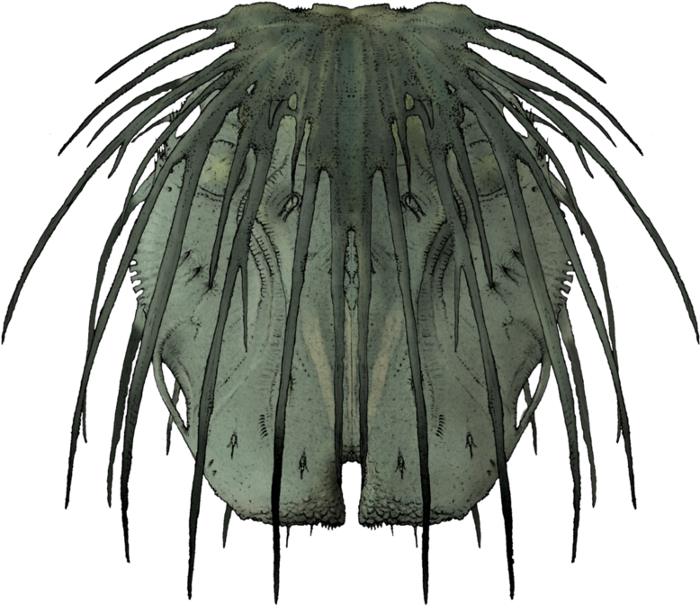 Post (926x862), Png Download