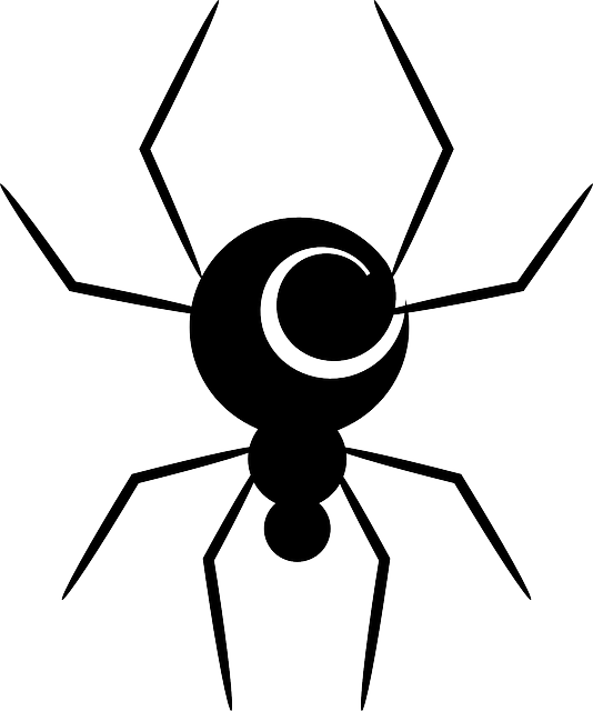 Spiders Drawing Creepy (534x640), Png Download