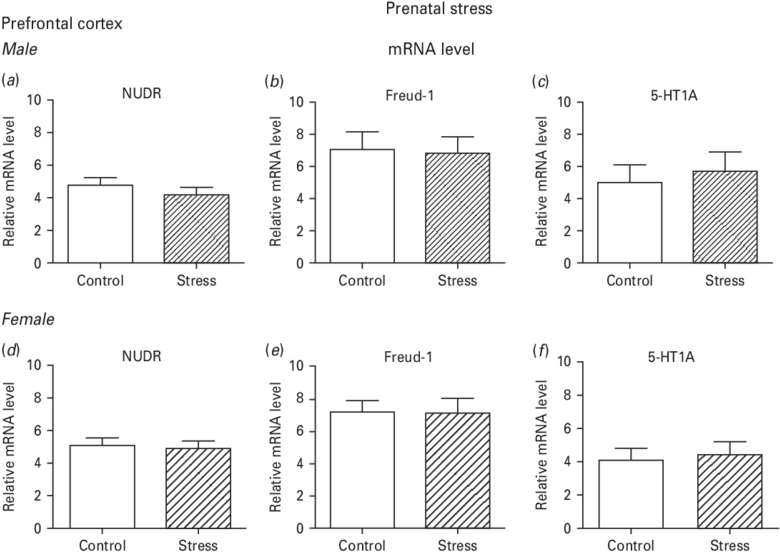 Real Time Pcr Analysis Of The Expression Of The Nudr, (850x568), Png Download