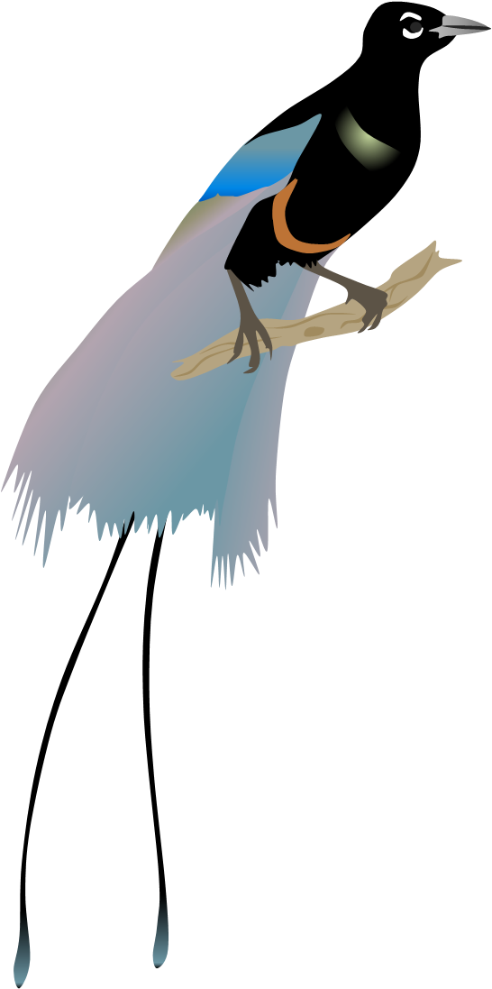 Bird Of Paradise Png (546x1097), Png Download