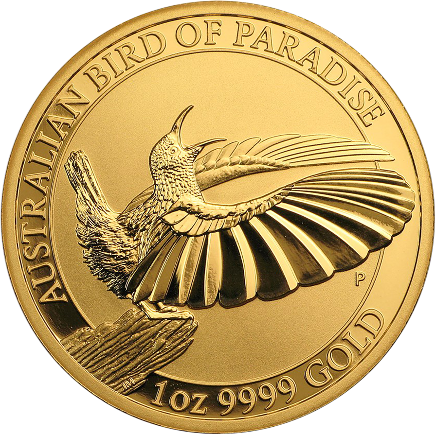 2018 Australian Bird Of Paradise Victoria's Riflebird (900x900), Png Download