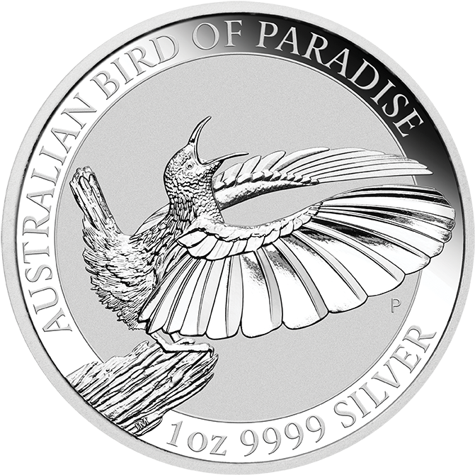Bird Of Paradise Png (686x686), Png Download