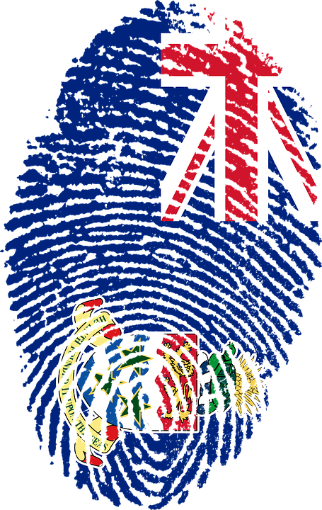 Cayman, Islands, Flag, Fingerprint, Country, Pride (455x720), Png Download