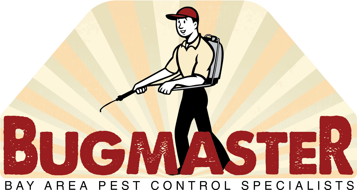 Bug Masters (2243x768), Png Download